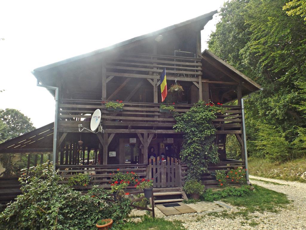 Cabana La Noi Hotell Rîşnov Eksteriør bilde