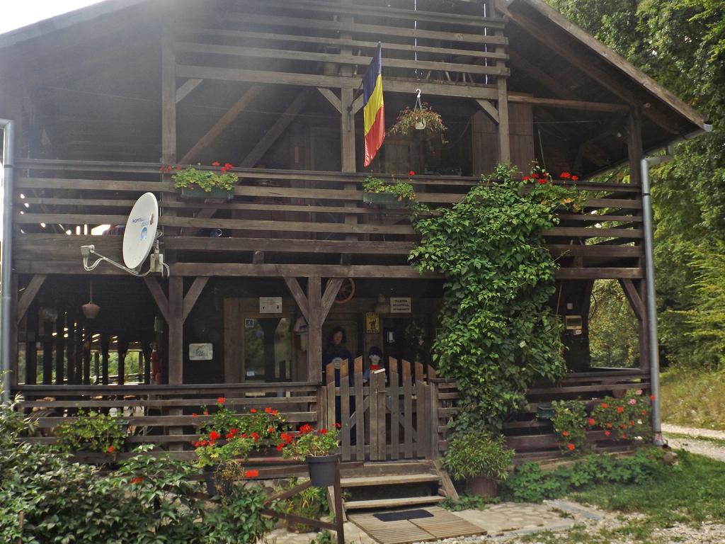Cabana La Noi Hotell Rîşnov Eksteriør bilde