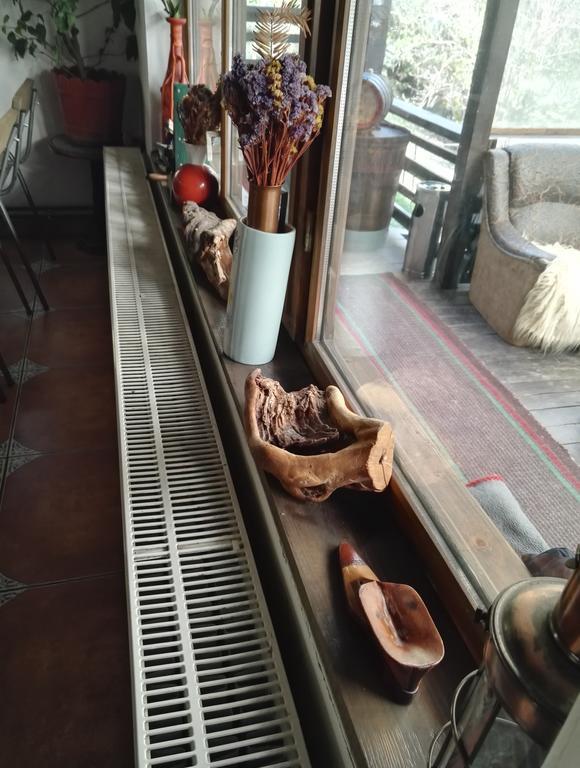 Cabana La Noi Hotell Rîşnov Eksteriør bilde