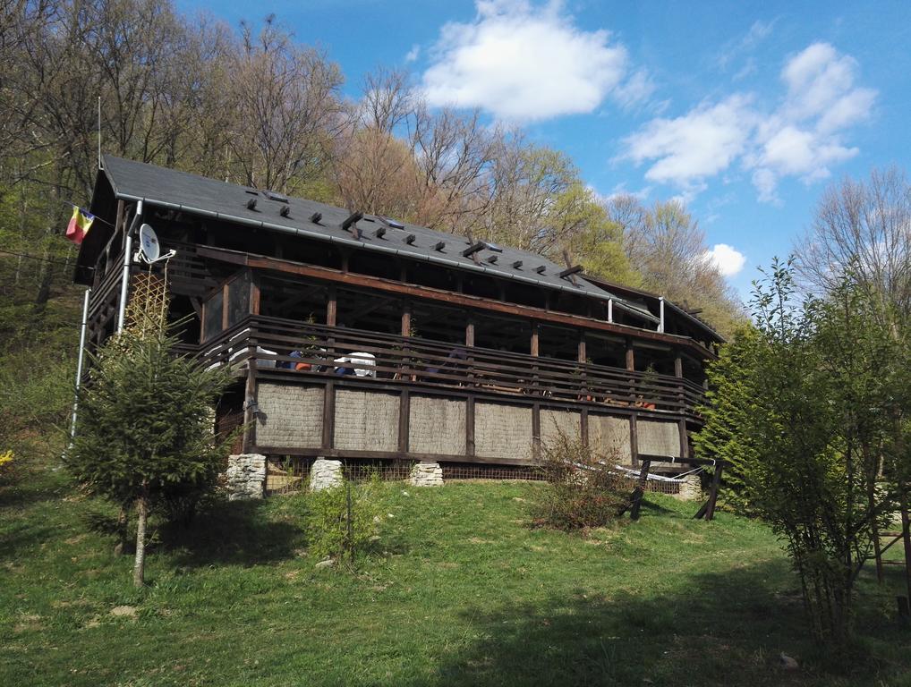 Cabana La Noi Hotell Rîşnov Eksteriør bilde