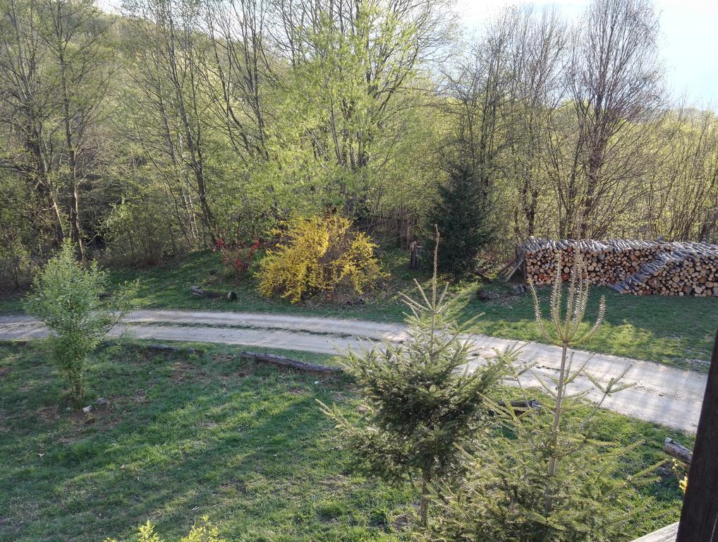 Cabana La Noi Hotell Rîşnov Eksteriør bilde