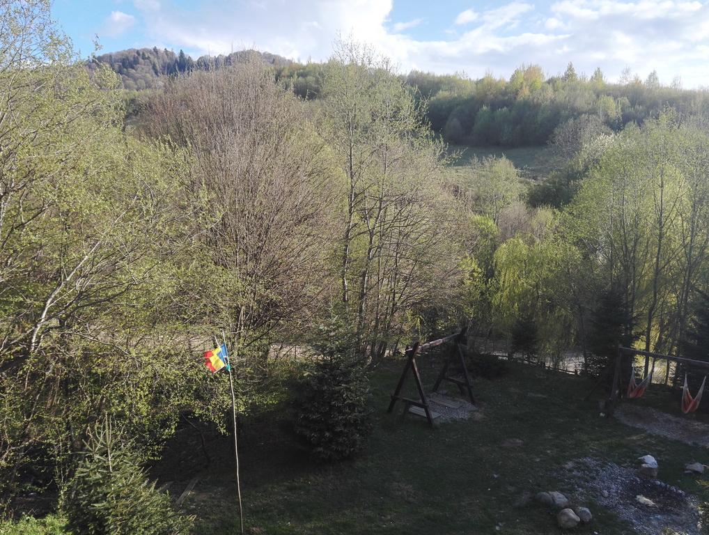 Cabana La Noi Hotell Rîşnov Eksteriør bilde