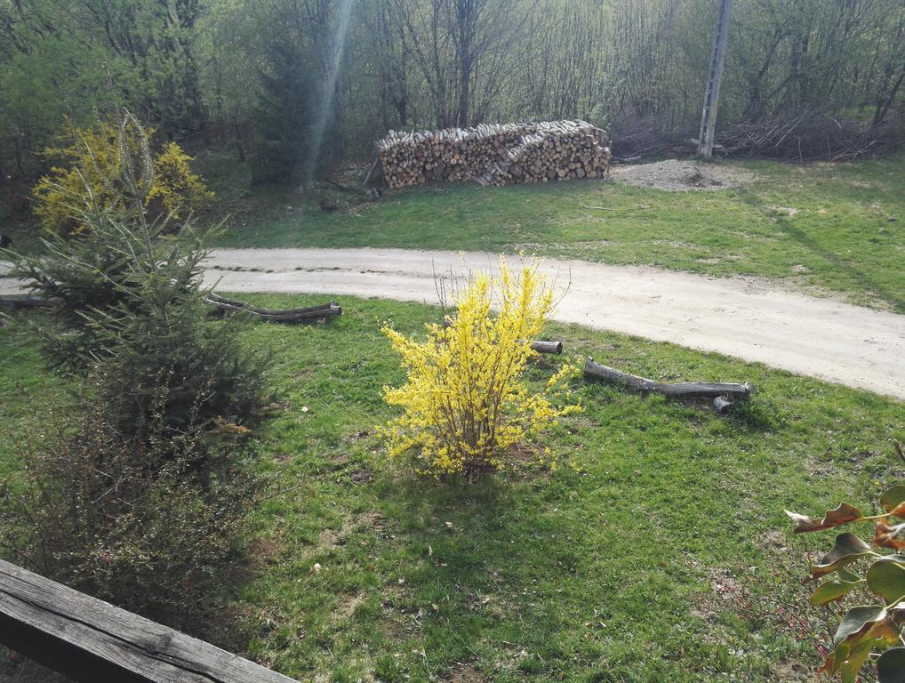 Cabana La Noi Hotell Rîşnov Eksteriør bilde